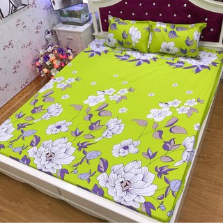 GA GỐI CHUN SẴN M8