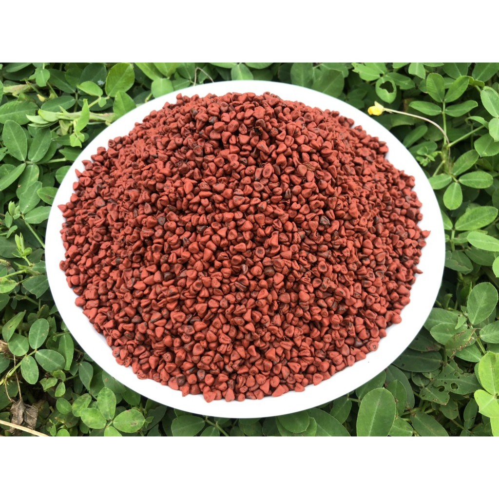 Hạt điều đỏ tạo màu - SỈ GIÁ TỐT