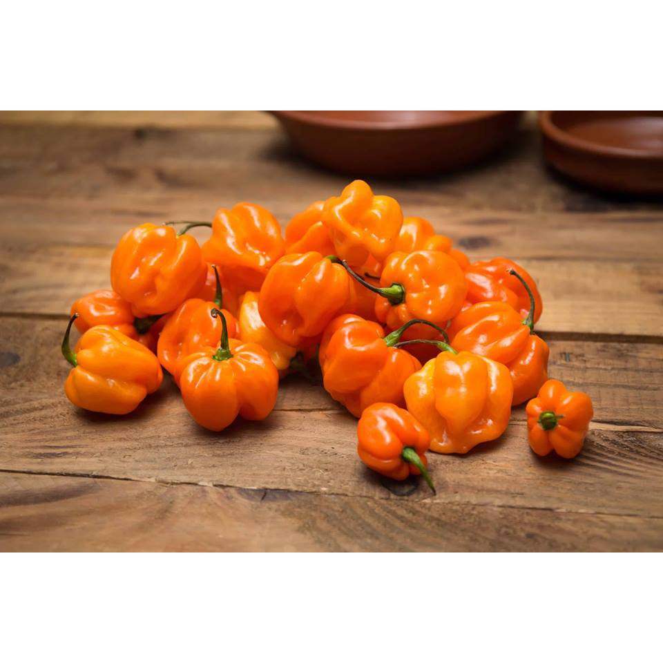 5 Hạt Giống Ớt Siêu Cay Red Habanero