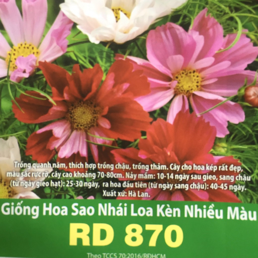 Hạt Giống Hoa Sao Nhái Loa Kèn 0.1gr