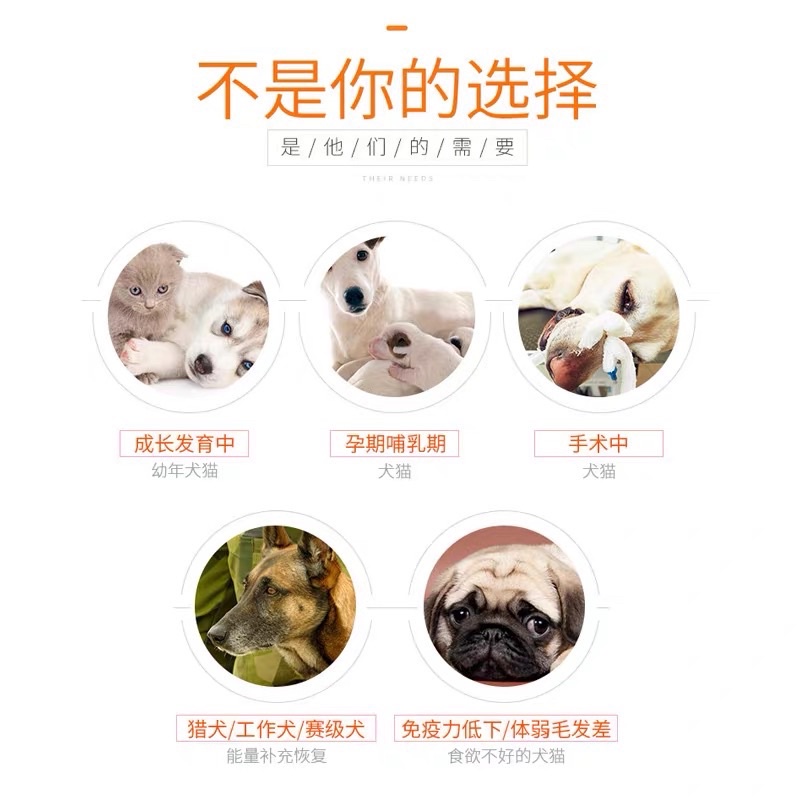 Gel dinh dưỡng cho chó Dorrikey dưỡng lông cho mèo và tăng cường miễn dịch Surica DK03 (130gr)