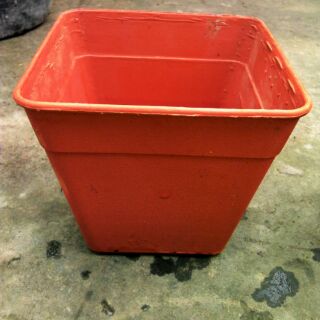 Chậu vuông 14cmx cao12cm
