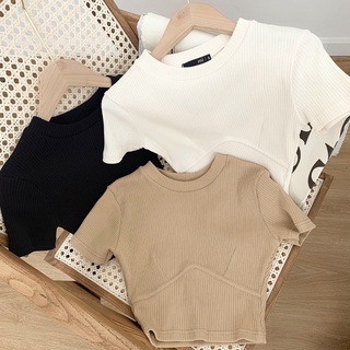 ÁO KIỂU CROPTOP THUN GÂN BODY