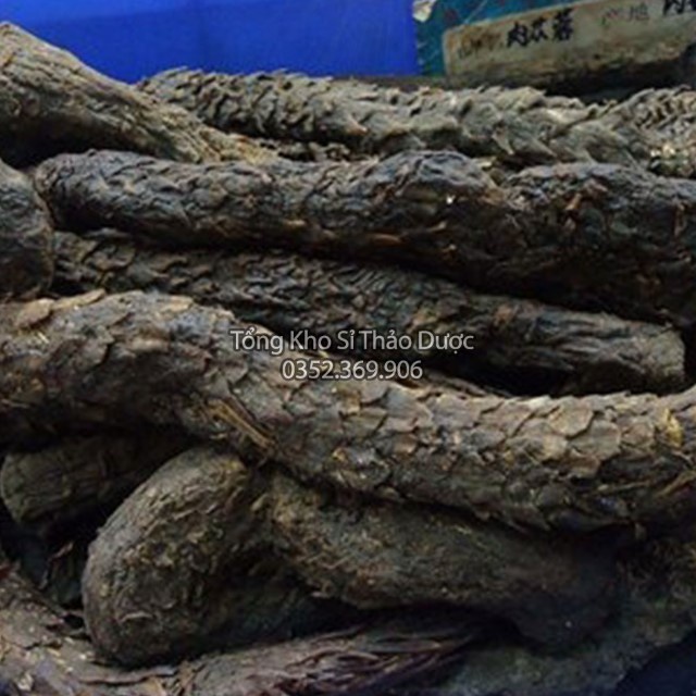 Nhục Thung Dung 100g