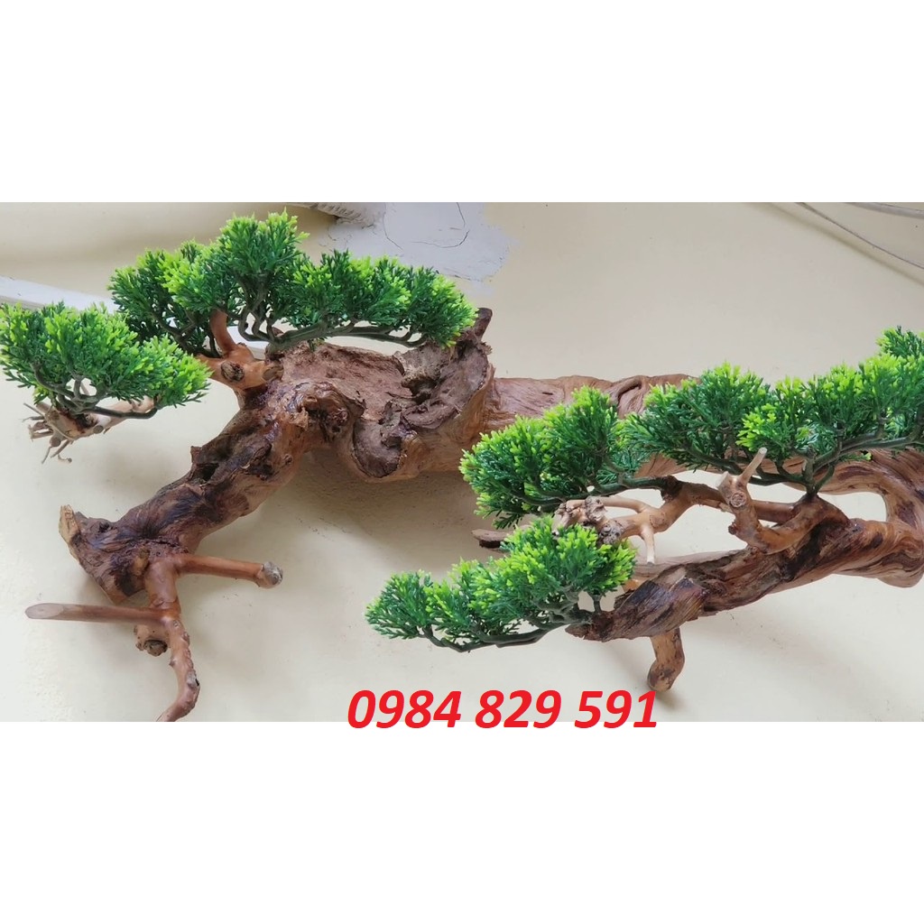 Cành Tùng Giả Làm Cây Trang Trí Siêu Đẹp