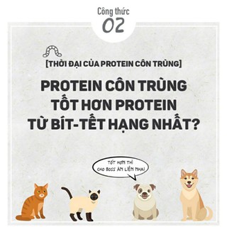 THỊT VỊT CUỘN THANH SỮA(DUCK)