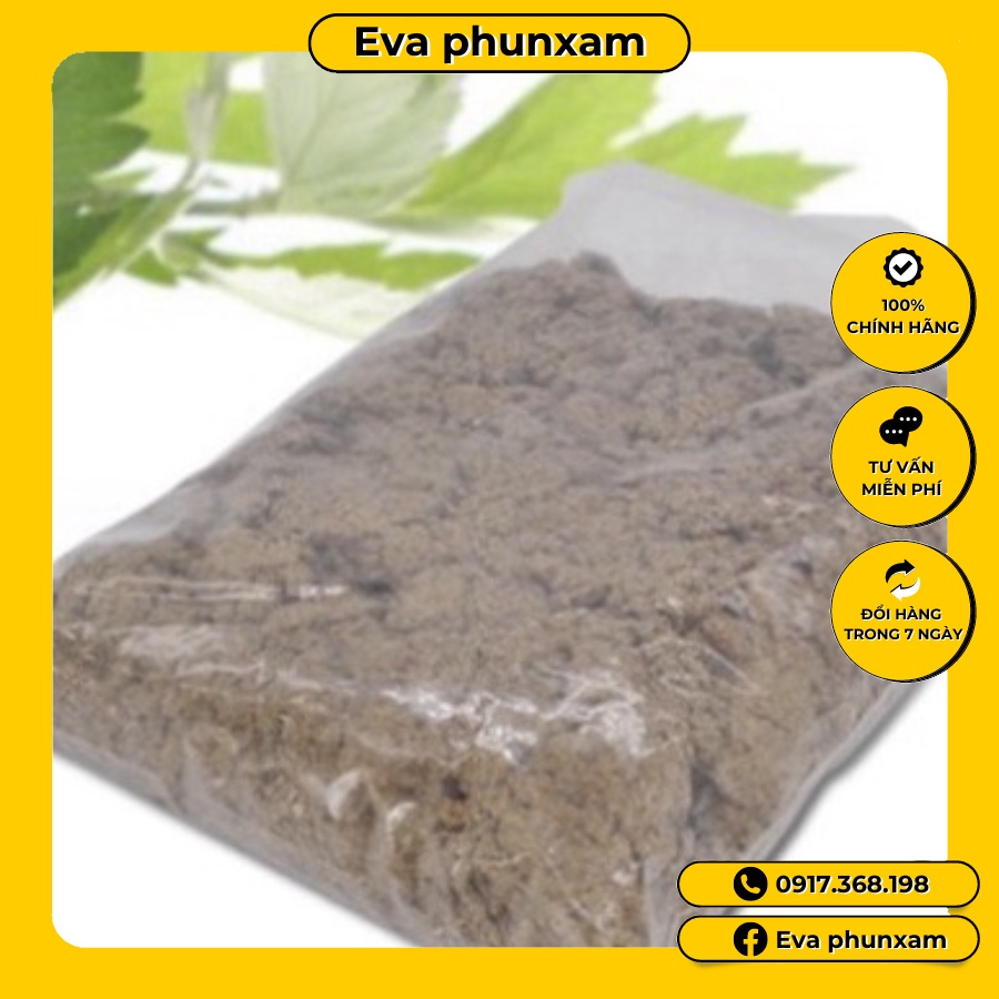 Ngải cứu dùng trong máy xông đông y