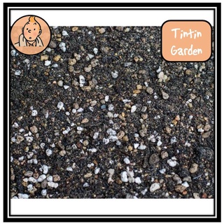 Soilmix Sen đá - Đất trồng giá thể Sen đá Xương rồng , trồng cây - Vườn nhà Tintin