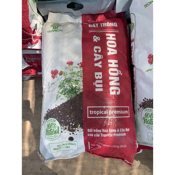 ĐẤT TRỒNG HOA HỒNG và CÂY BỤI Tropical Premium