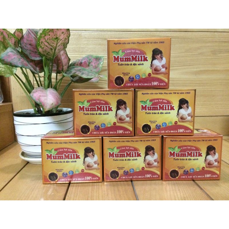 Combo sỉ cốm lợi sữa Mummilk vàng