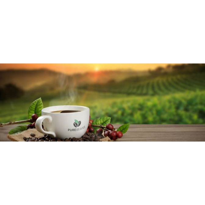 Cà Phê Arabica (500gr - 1Kg) | BigBuy360 - bigbuy360.vn