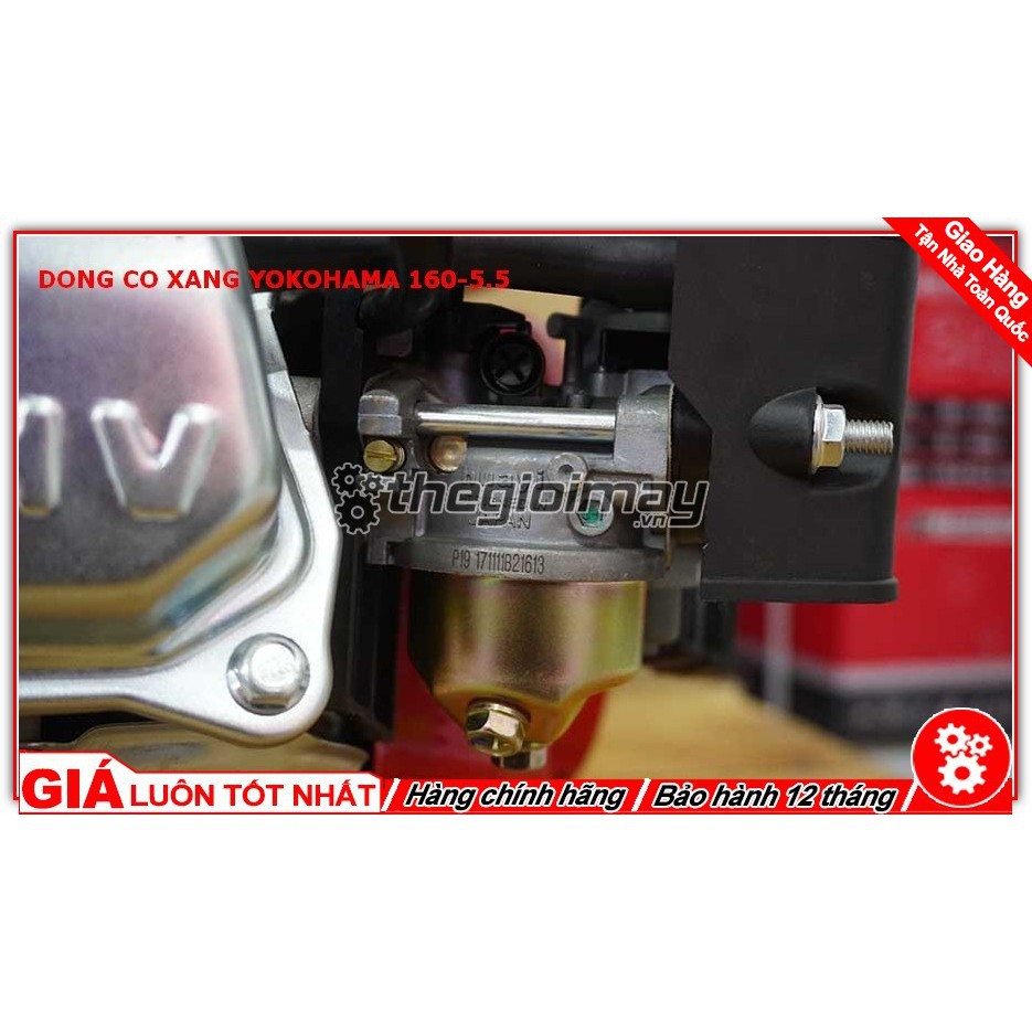 Máy Nổ Động Cơ Xăng Yokohama 5.5hp