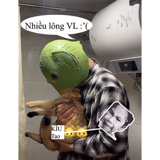 Mặt nạ đầu cá xanh lá hóa trang