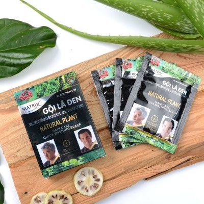 Gội Là Đen Matrix