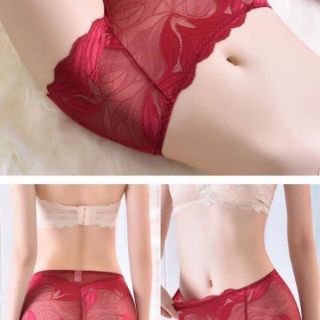 Quần lót ren đùi 5533