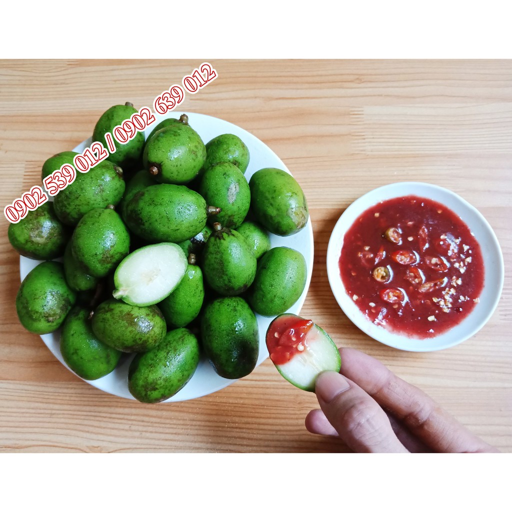 Cóc Non Mắm Ruốc
