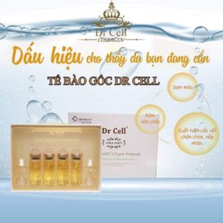 Tế bào gốc Dr Cell