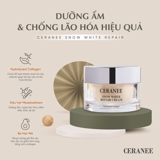 Kem Dưỡng Da Ceranee Chính Hãng Phục Hồi Da Dưỡng Ẩm Và Sáng Da Chống Lão Hoá Kem Dưỡng Tái Tạo Da Ceranee Hàn Quốc