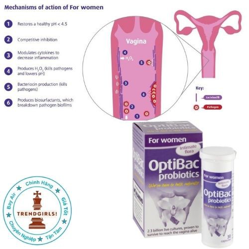 Men vi sinh Optibac Probiotics For Women, Anh quốc (30v + 90v) cho phụ nữ phòng ngừa và làm dịu viêm nhiễm vùng kín