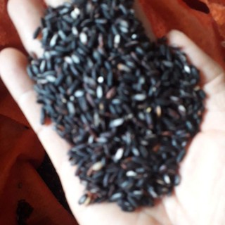 Gạo lứt đen tủa chùa 32 k/1 kg
