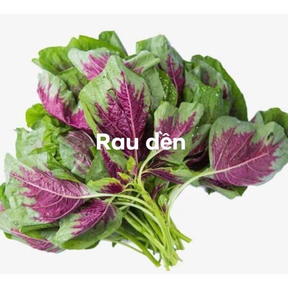 Rau Dền Vườn Trồng Sạch 1kg Q12 Giao HCM | BigBuy360 - bigbuy360.vn
