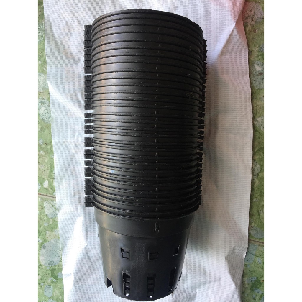 combo 30 chậu Phi 16