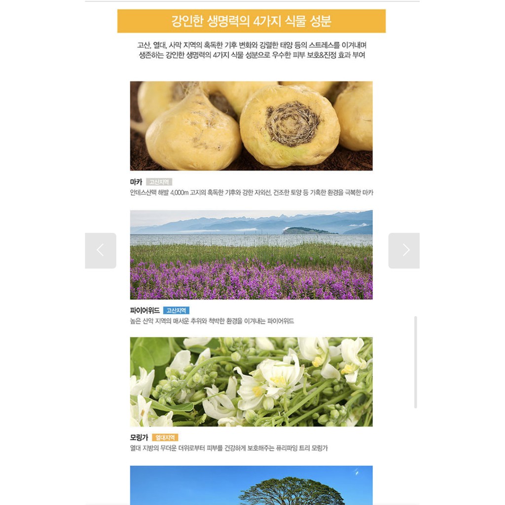 Kem Chống Nắng The SAEM Eco Earth Power Light Sun Cream SPF50+ | BigBuy360 - bigbuy360.vn