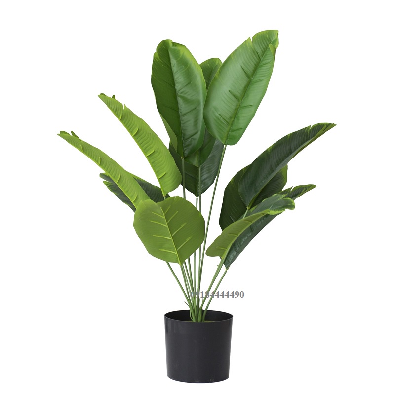 Cây lá dong riềng đẹp như thật 12 nhánh cao 66cm