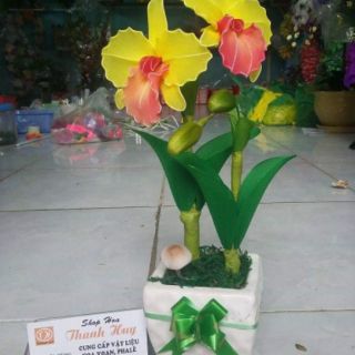 Vải voan màu xanh