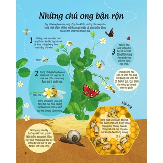 SÁCH - Cây trồng đến từ đâu?