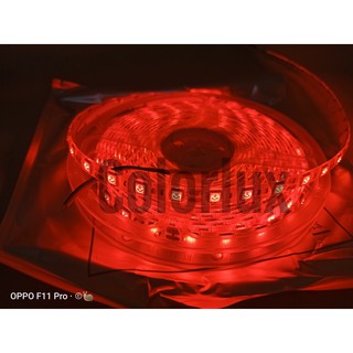 Cuộn Led dây dán 5050 12v dài 5m #leddây