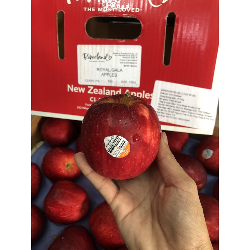 Set 4 trái táo Queen NZ hơn 1 kg