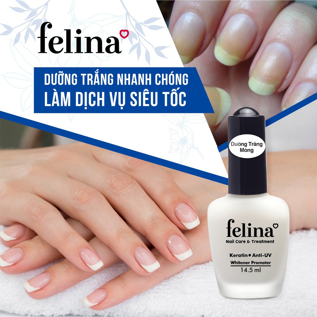 Sơn Dưỡng cứng móng, nền móng, trắng móng, phẳng móng FELINA 14.5ml