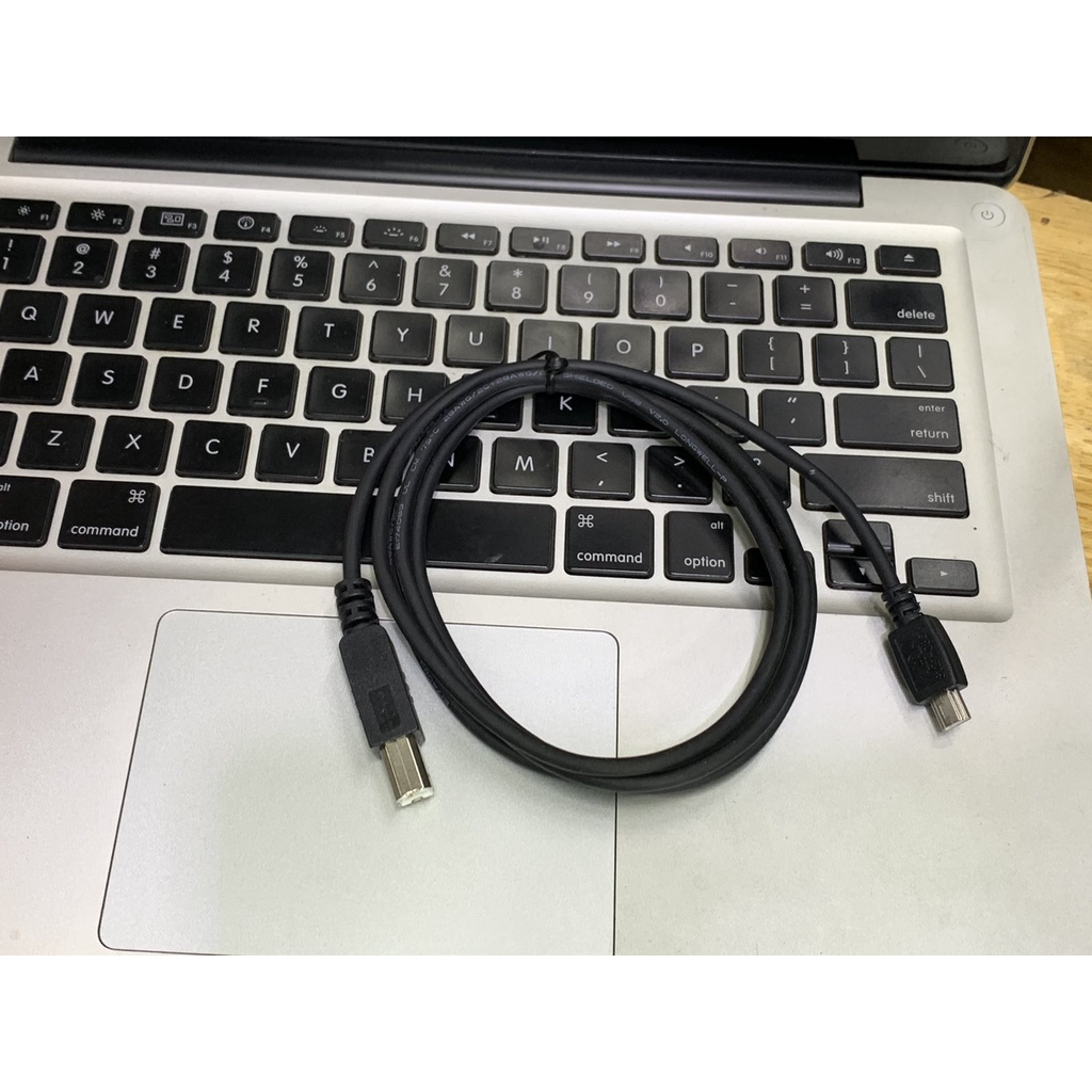 Cáp HP Mini A to Standard B USB Cable USB 1.4M (8121-0807) chính hãng