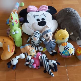 Gấu bông hải yến
