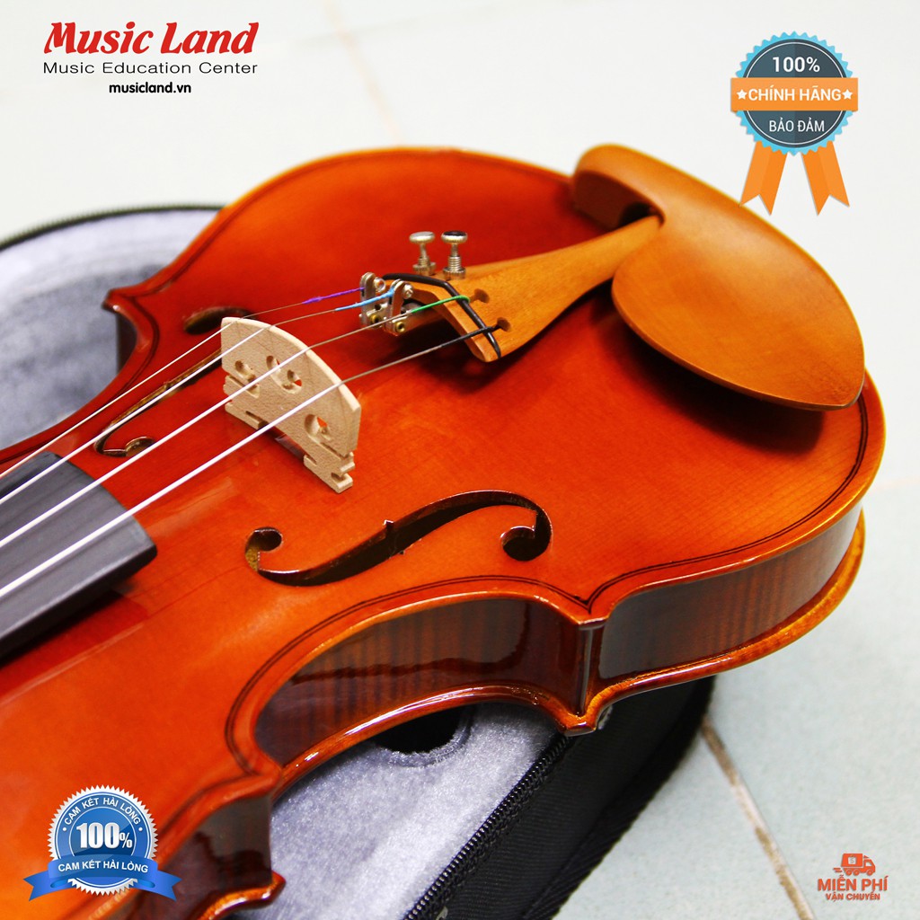 Đàn Violin Shifen SV-401 - Chính Hãng