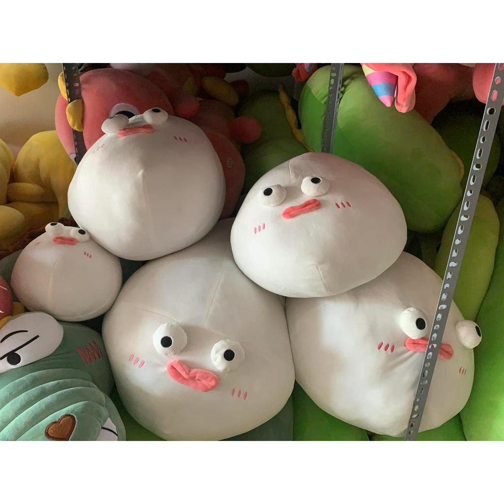 GẤU BÔNG CÁ NÓC MẶT NGÁO NGƠ, CÁ NÓC TRẦM CẢM, CÁ NÓC MẶT NGU NGƠ