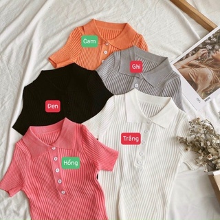 Áo len cộc tay cổ bẻ cài cúc-len đuxa 5 cúc
