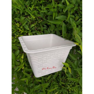Chậu nhựa vuông trắng