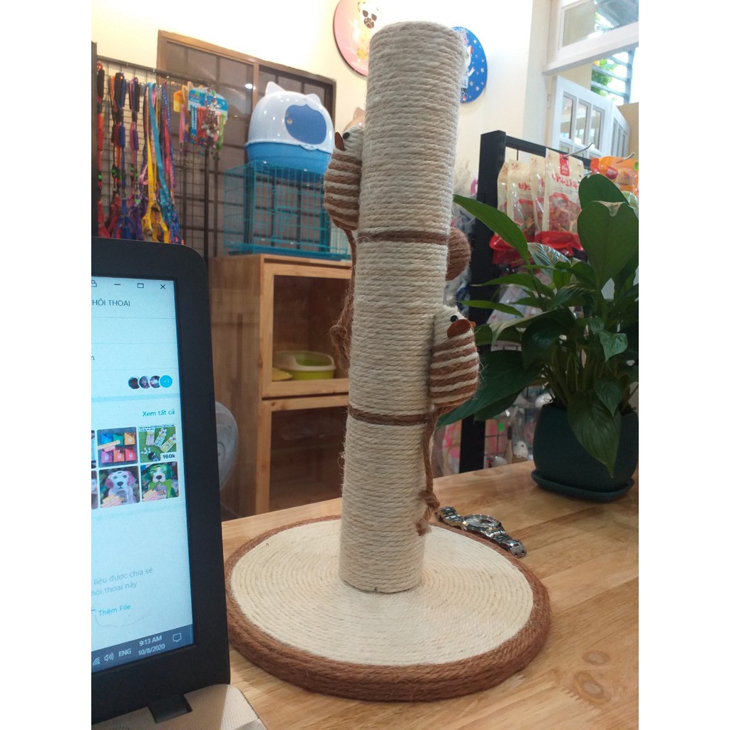 trụ cào mèo chuột xinh