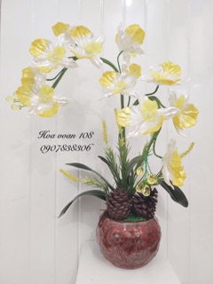 Hoa lan hồ điệp cao 45cm