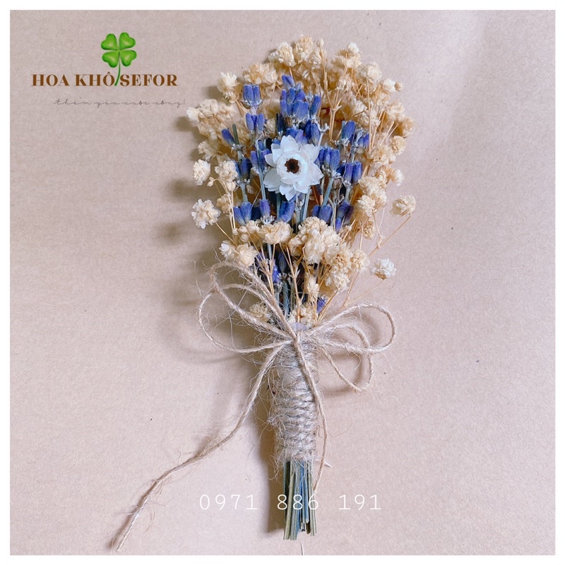 Bó hoa khô mini Lavender ❤️Baby ❤️Cúc Ammobium phong cách Vintage