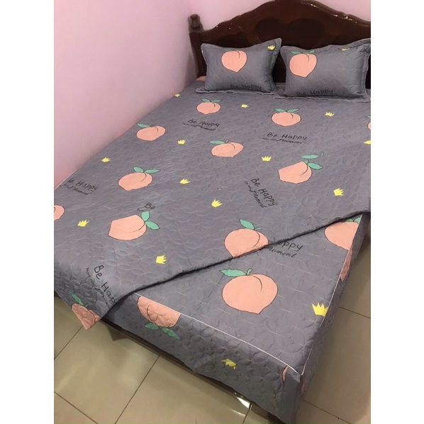 VỎ CHĂN COTTONG POLY TRẦN BÔNG CÓ KHOÁ KÉO LỒNG ĐƯỢC RUỘT