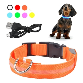 Vòng Cổ Có Đèn Led Phát Sáng Cho Thú Cưng