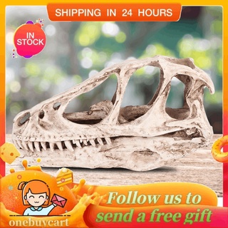 Onebuy Mô hình bộ xương khủng long dài sử dụng nhựa để trang trí nội thất