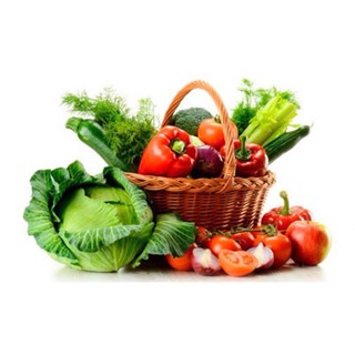 COMBO HẠT GIỐNG RAU CỦ QUẢ