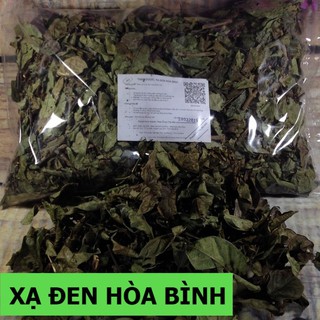 Cây Xạ Đen Lá Răng Cưa 💟FREESHIP💟 Giảm Ngay 20K Khi Nhập [XADEN20K]