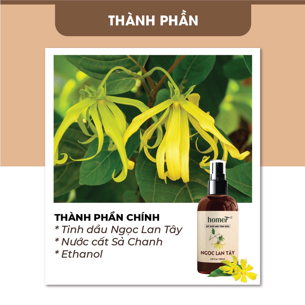 Xịt khử mùi tinh dầu Ngọc Lan Tây Homer Thiên nhiên Dung tích 100ml/250ml