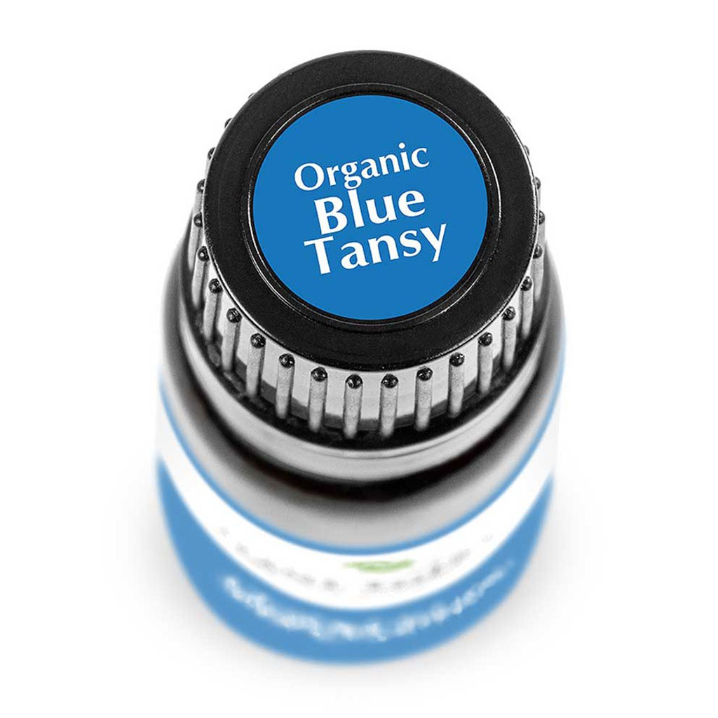 Plant Therapy - Tinh Dầu Cúc Ngải Xanh Hữu Cơ - Blue Tansy Organic KidSafe Essential Oil - 2.5mL