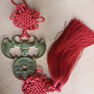 Dơi ngậm tiền phúc tinh dài 10cm.